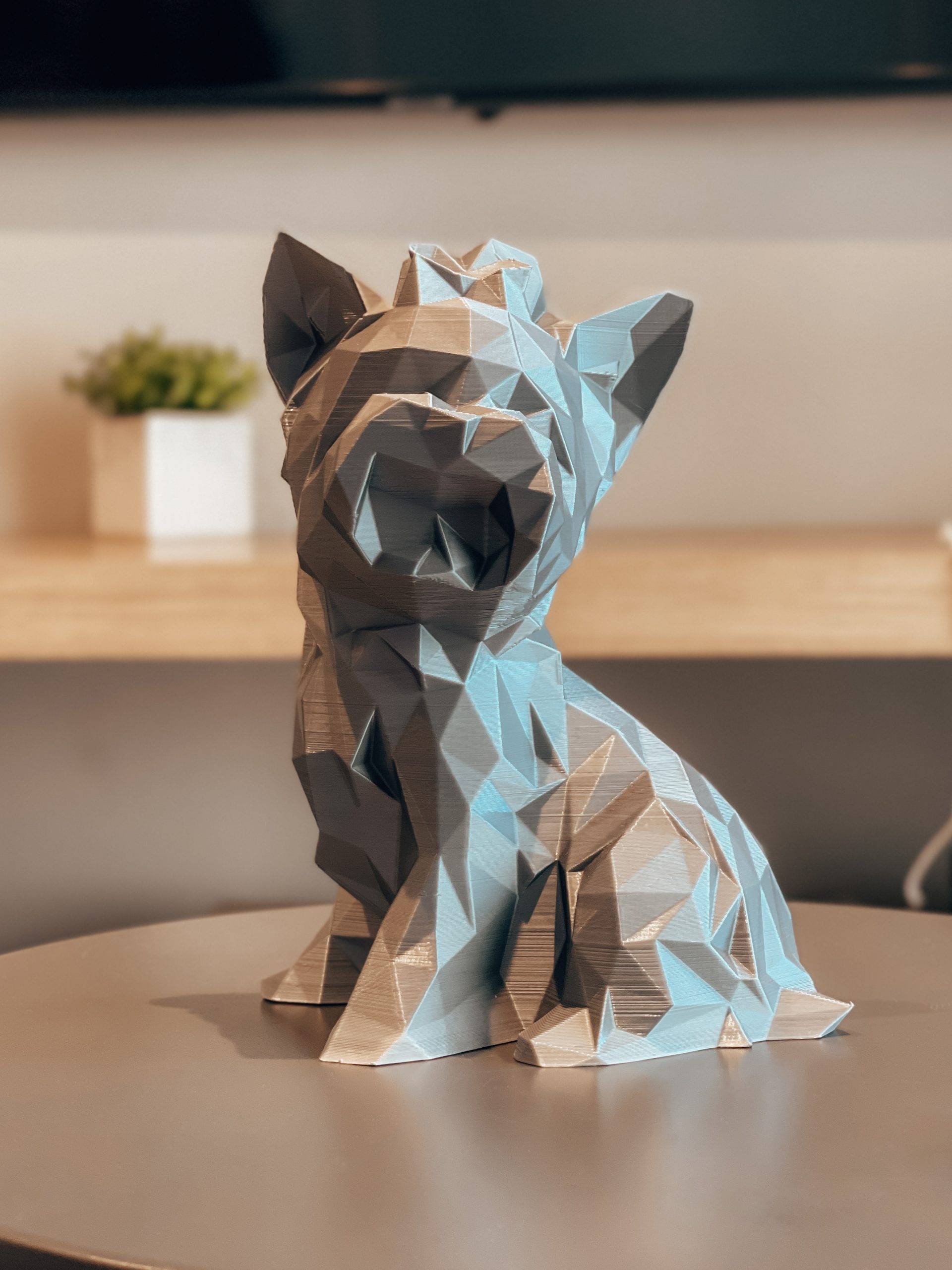Animais 3D: gatos e cachorros chegam à busca do Google